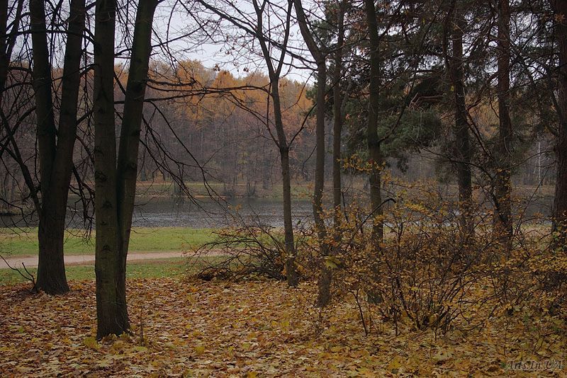 В Мостовском районе установится прохладная и преимущественно дождливая погода 1