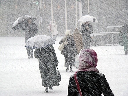 Дождь, снег и морозы – всё это ждёт жителей Мостовского района в ближайшую неделю 1