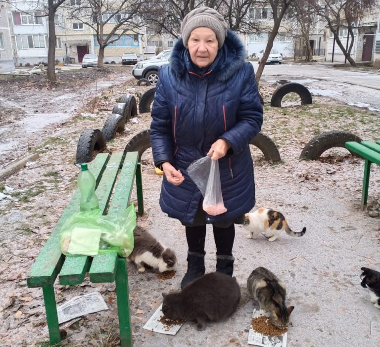 Мостовчанка Антонина Петровна Жеребилова зимой и летом, в любую погоду кормит бездомных домашних животных 1