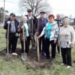Совет ветеранов Псебайского городского поселения высадил в больничном дворе 20 деревьев 9