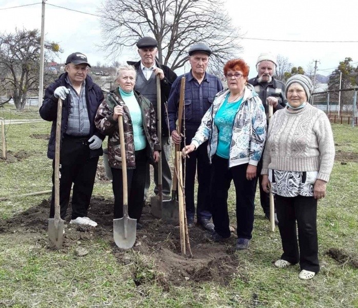 Совет ветеранов Псебайского городского поселения высадил в больничном дворе 20 деревьев