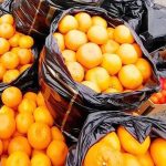 На российско-абхазской границе стартовал «мандариновый сезон», ещё его называют «оранжевой лихорадкой» 7