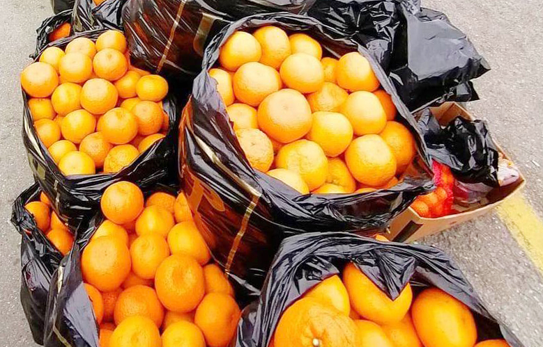 На российско-абхазской границе стартовал «мандариновый сезон», ещё его называют «оранжевой лихорадкой»
