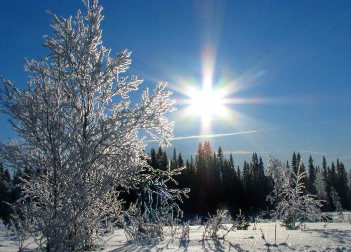 22 декабря, в 00.48 по московскому времени, наступило зимнее солнцестояние