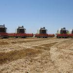 Сельхозпредприятие Кубани повысило выработку на 40% благодаря нацпроекту «Производительность труда» 3