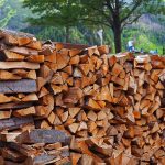 О порядке выплаты компенсации льготной категории граждан за приобретенные дрова 1