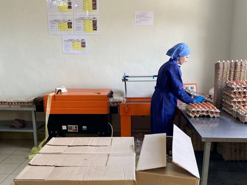 Кубанский поставщик яиц увеличил выработку продукции на 20%