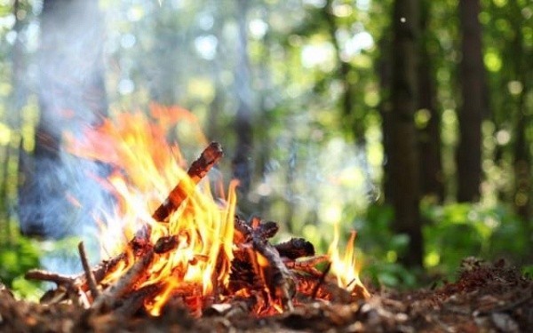 В Никитино выгорел один гектар леса 1