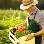 Рынок сбыта для сельхозтоваропроизводителей Мостовского района расширяется 5