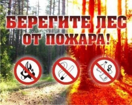 Берегите лес!!! 1