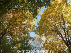 Дыхание осени в Мостовском 