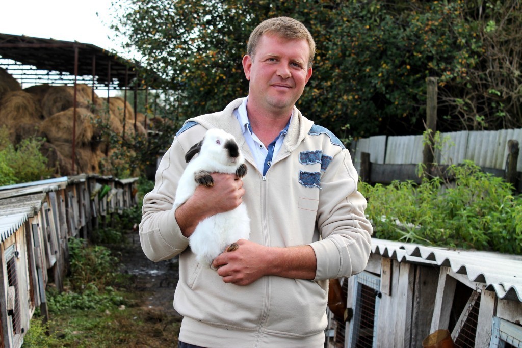 Кролики: опыт и ошибки фермера Гурьянова 1